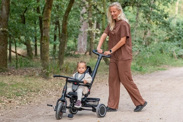 Dreirad mit abnehmbaren Teilen