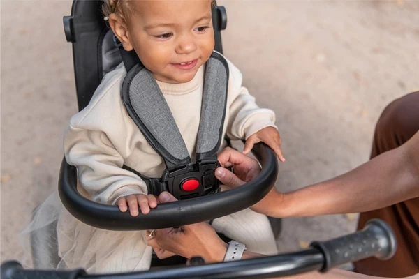 Sicherheitsgurt und -bügel