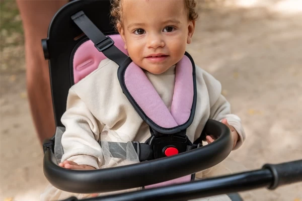 Sicherheitsgurt und -bügel