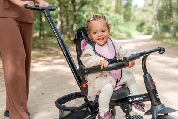 Dreirad mit abnehmbaren Teilen