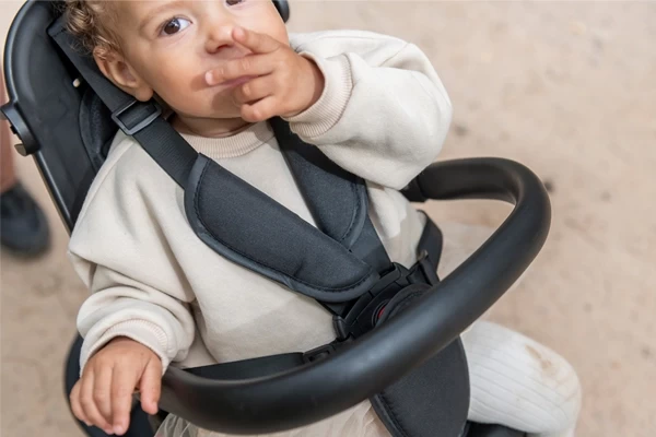 Sicherheitsgurt und -bügel