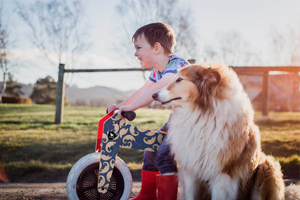 Verstellbarer Sattel (28-46 cm)