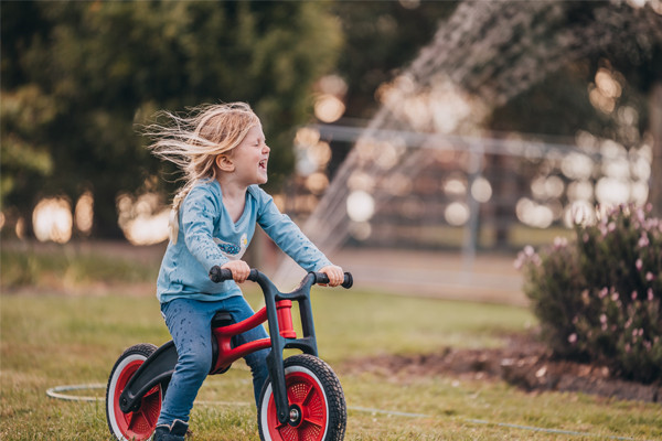 Das Wishbonebike RE2 Red als Zweirad