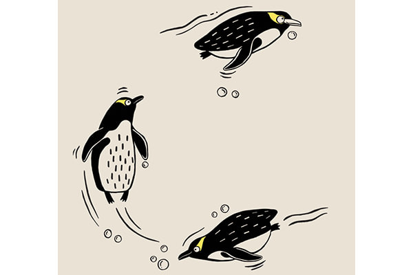 Sonderausgabe: Neuseeländischer Gelbaugenpinguin